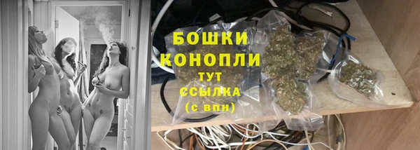 скорость Вяземский