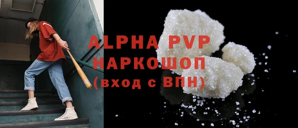 скорость Вяземский