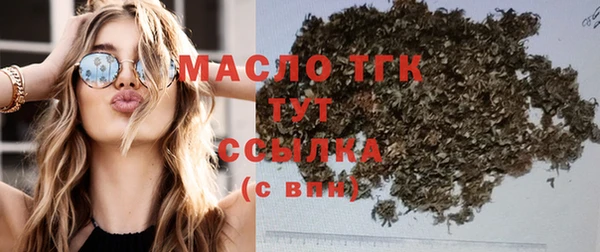 скорость Вяземский