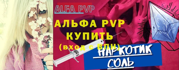 скорость Вяземский