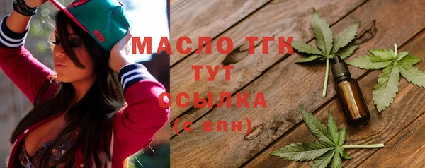 скорость Вяземский